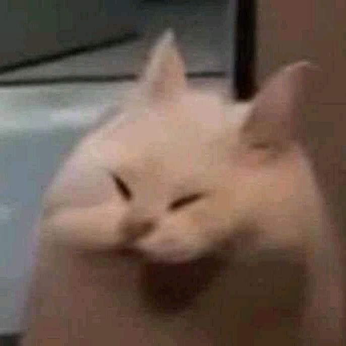 DTINH
